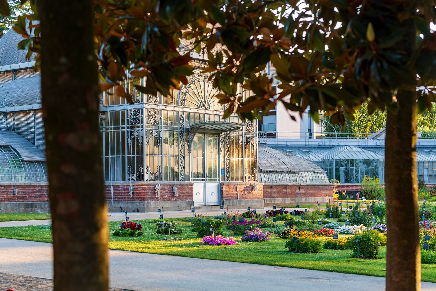 Le Jardin des Plantes