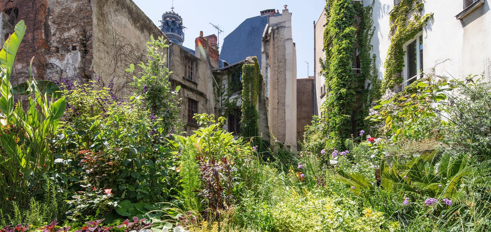 Jungle Intérieur Passage Bouchaud