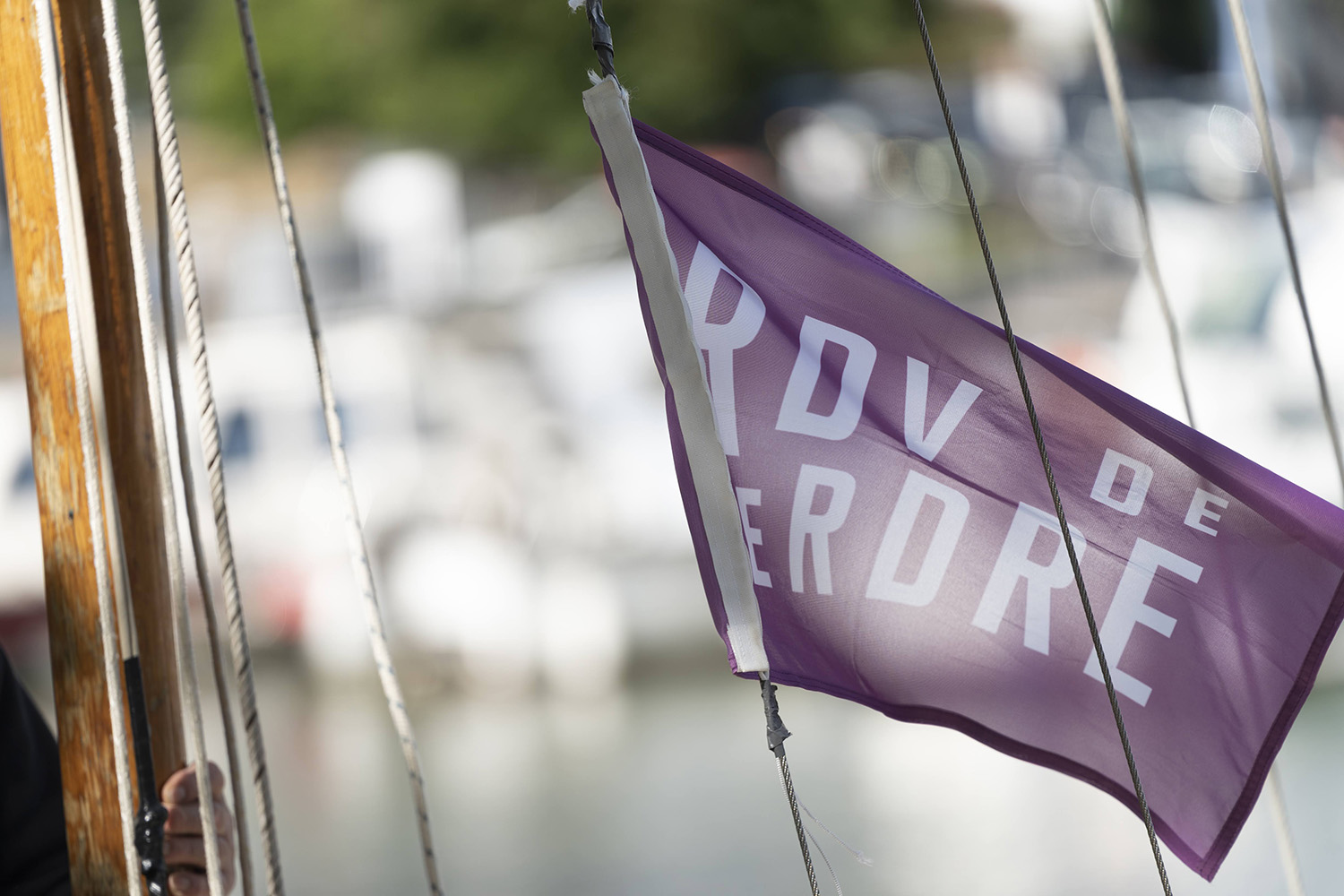 Les rendez-vous de l'Erdre à Sucé sur Erdre