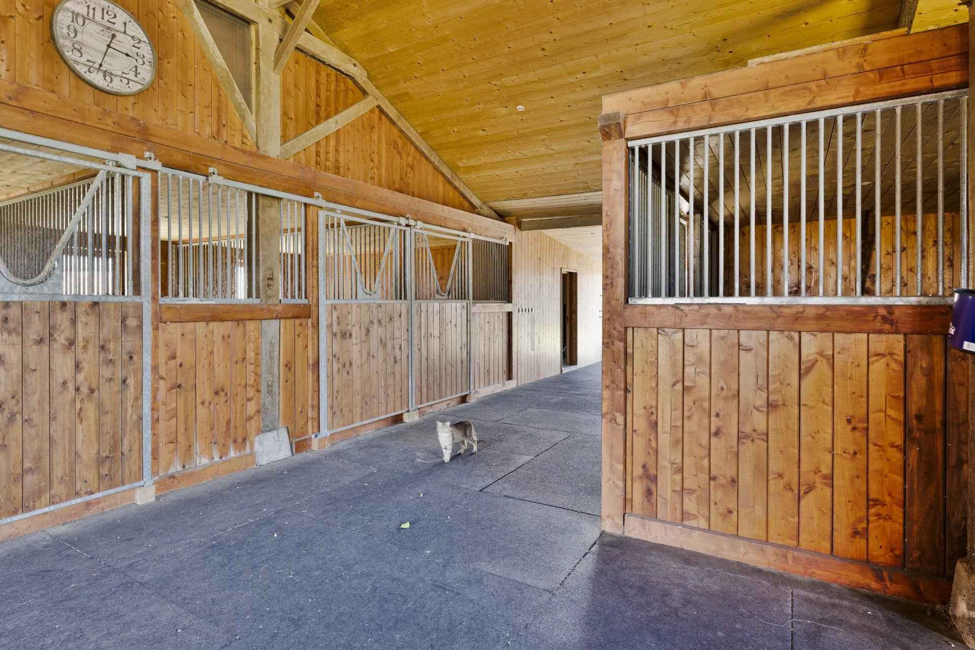Haras Assérac
