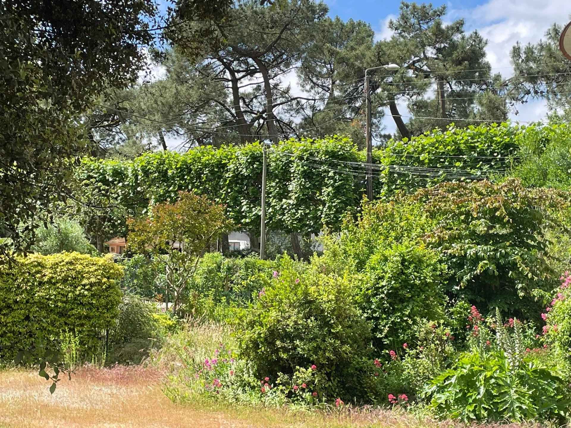 Terrain à Vendre La Baule