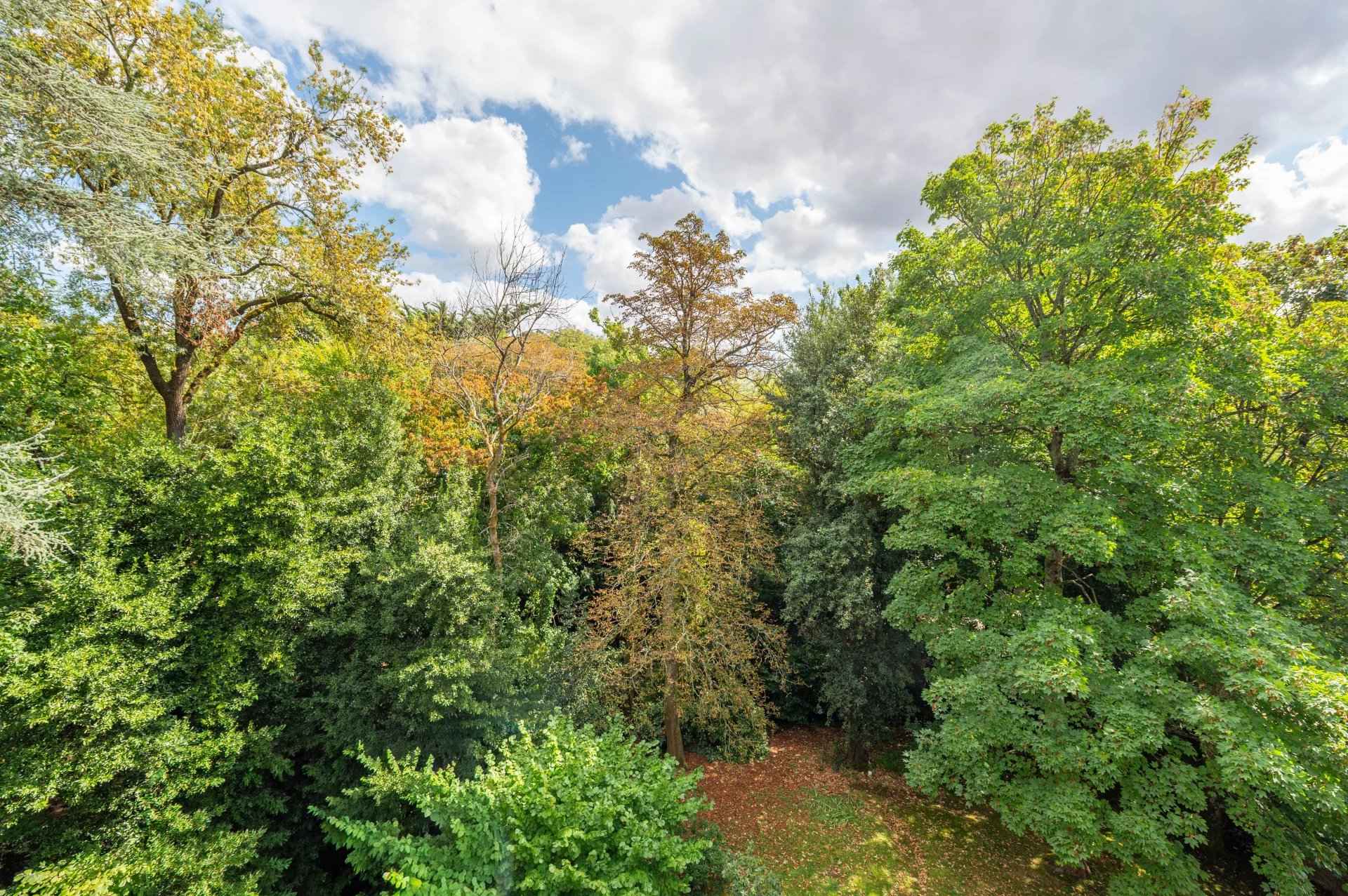 Appartement avec vue Nantes