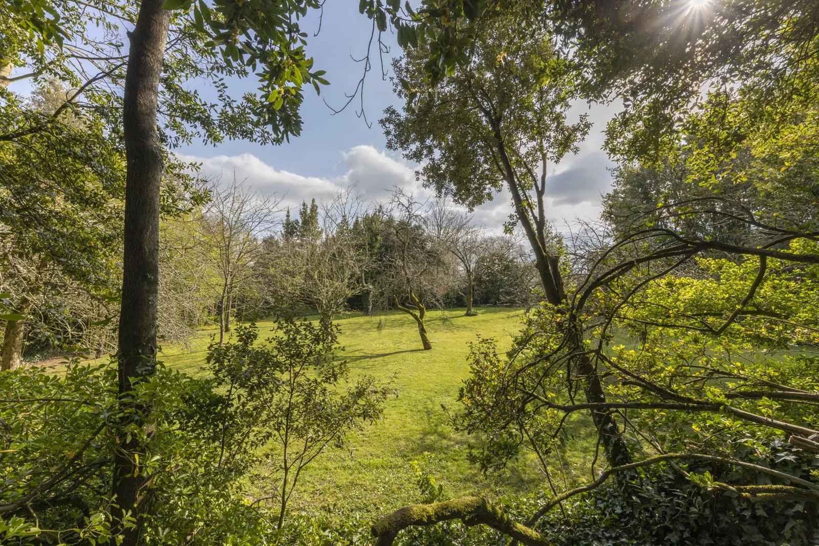 F942a784999e1a256aab5c09c16d3cf3 d1398ee1a3 1600 original - Attribut alt par défaut.