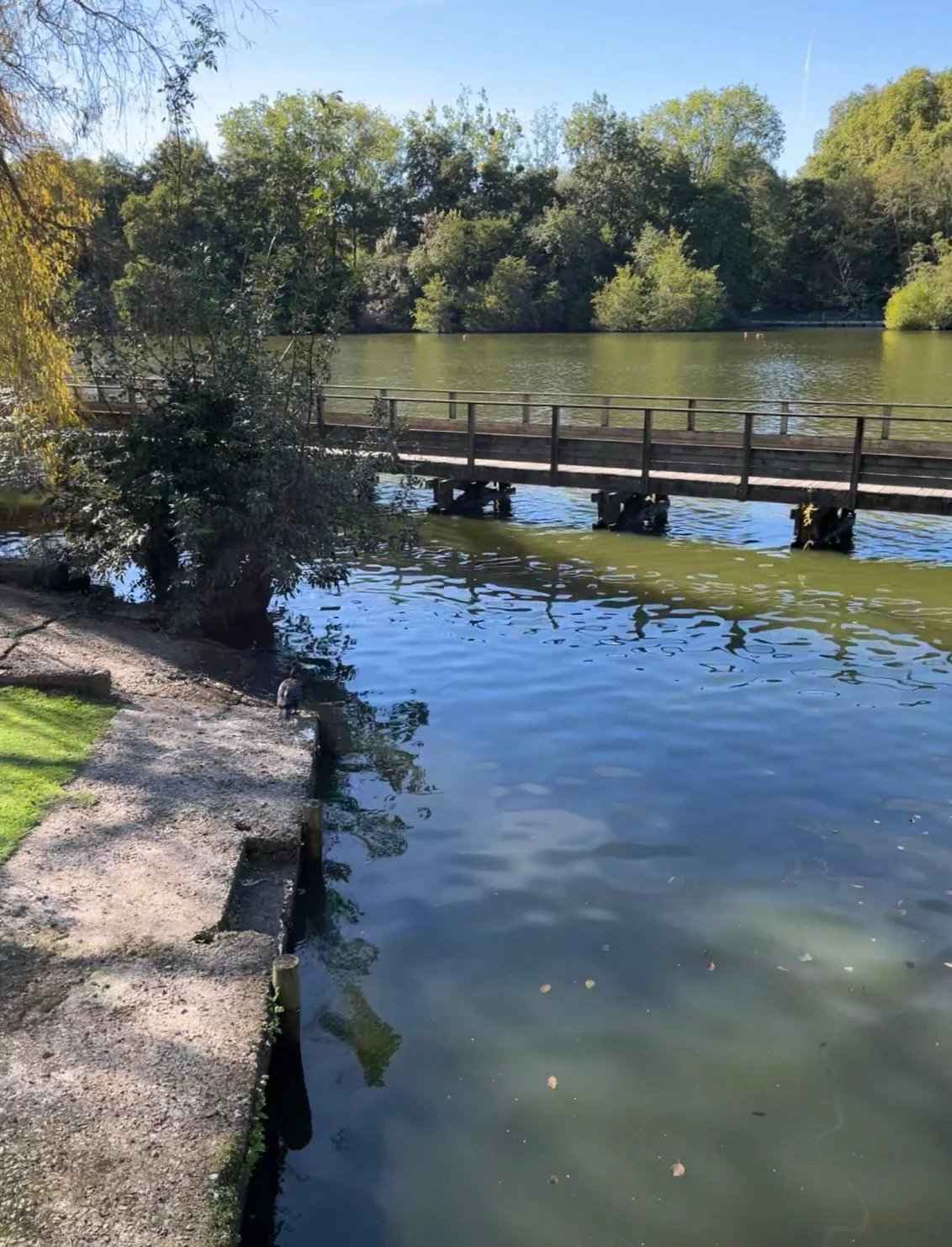 Ceafd1c910e6d2a18f7b04db7704e056 7c5f149972 1482 original - Attribut alt par défaut.