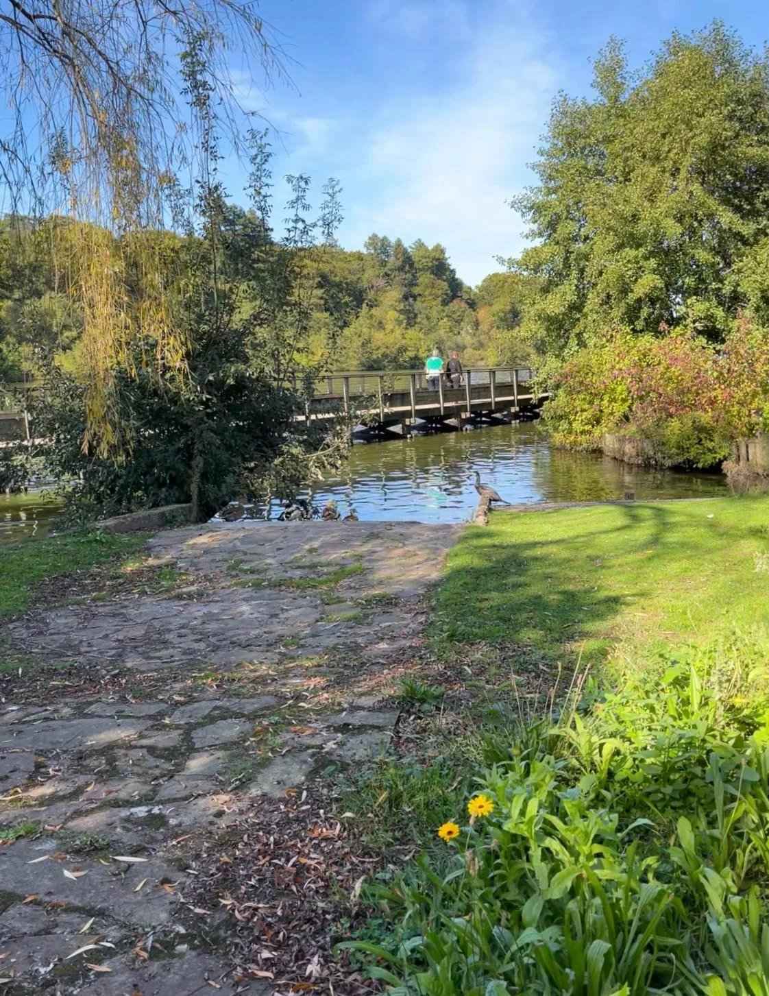 8c09f57d7614a59a411156ad710095d0 8d6cb8ebeb 1453 original - Attribut alt par défaut.