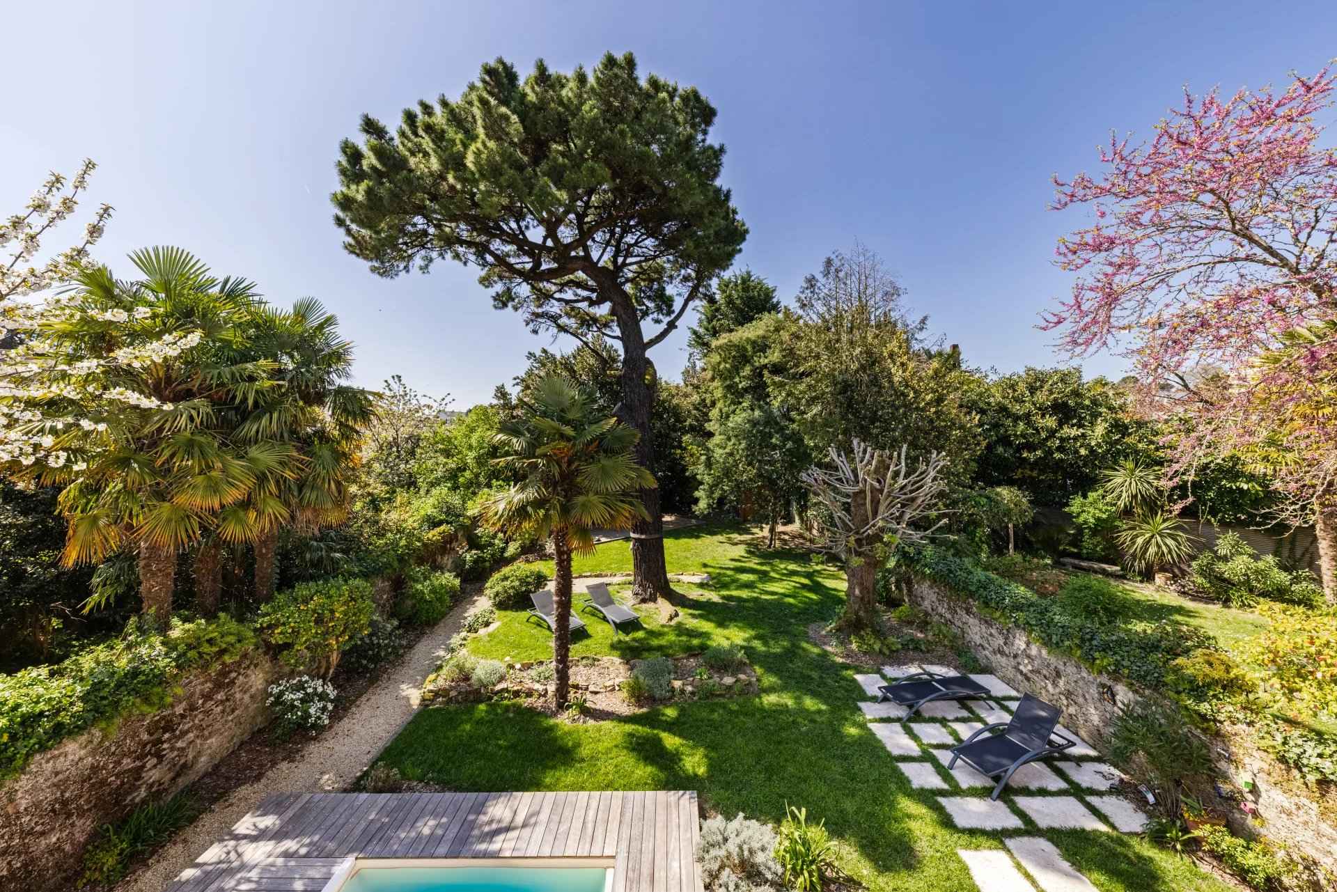 Maison jardin quartier Saint-Donatien 