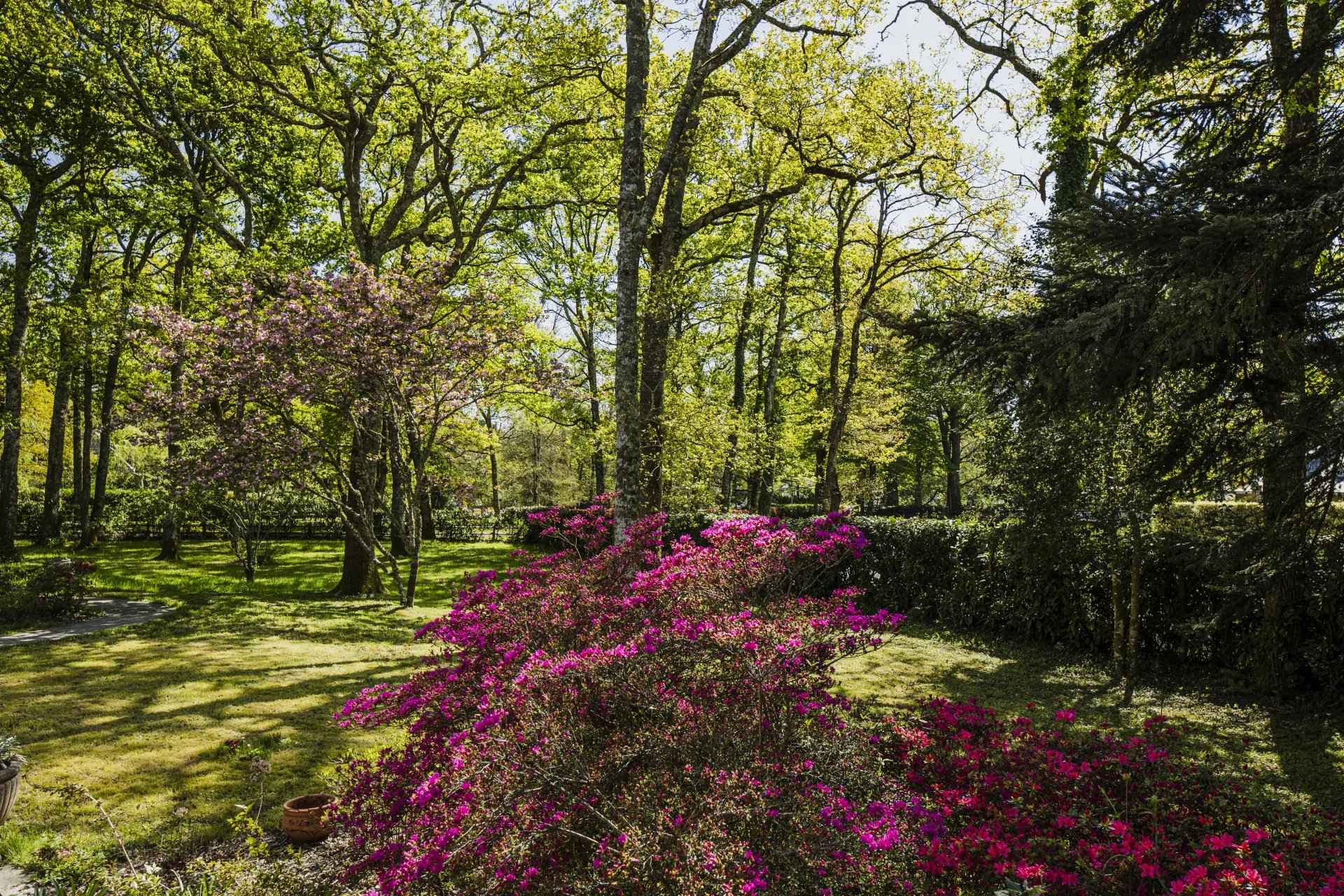 31987842514e0b84969829b26fde5b93 2000f69618 1920 original - Attribut alt par défaut.