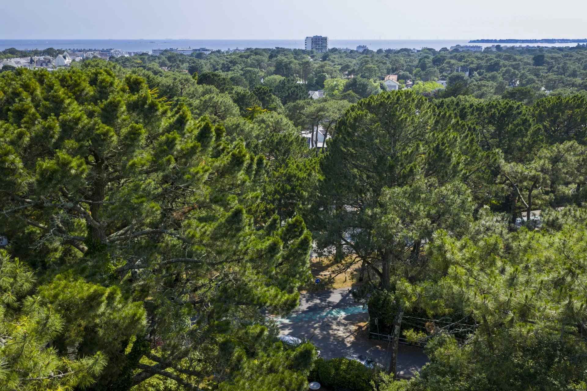 Jardin La Baule Les Pins