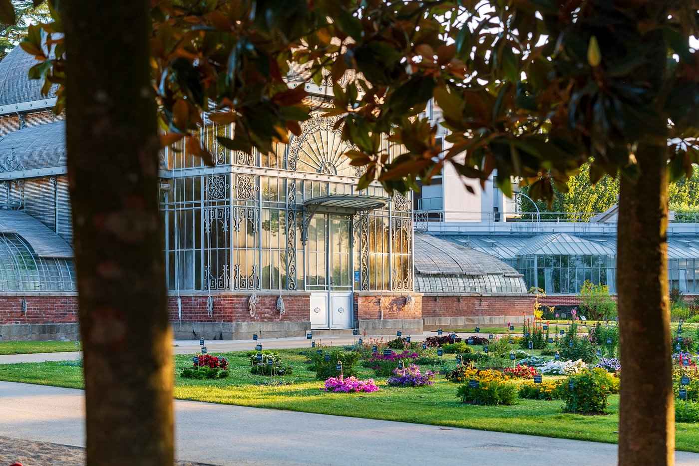 Serre du jardin des plantes Nantes Serre du jardin des plantes Nantes