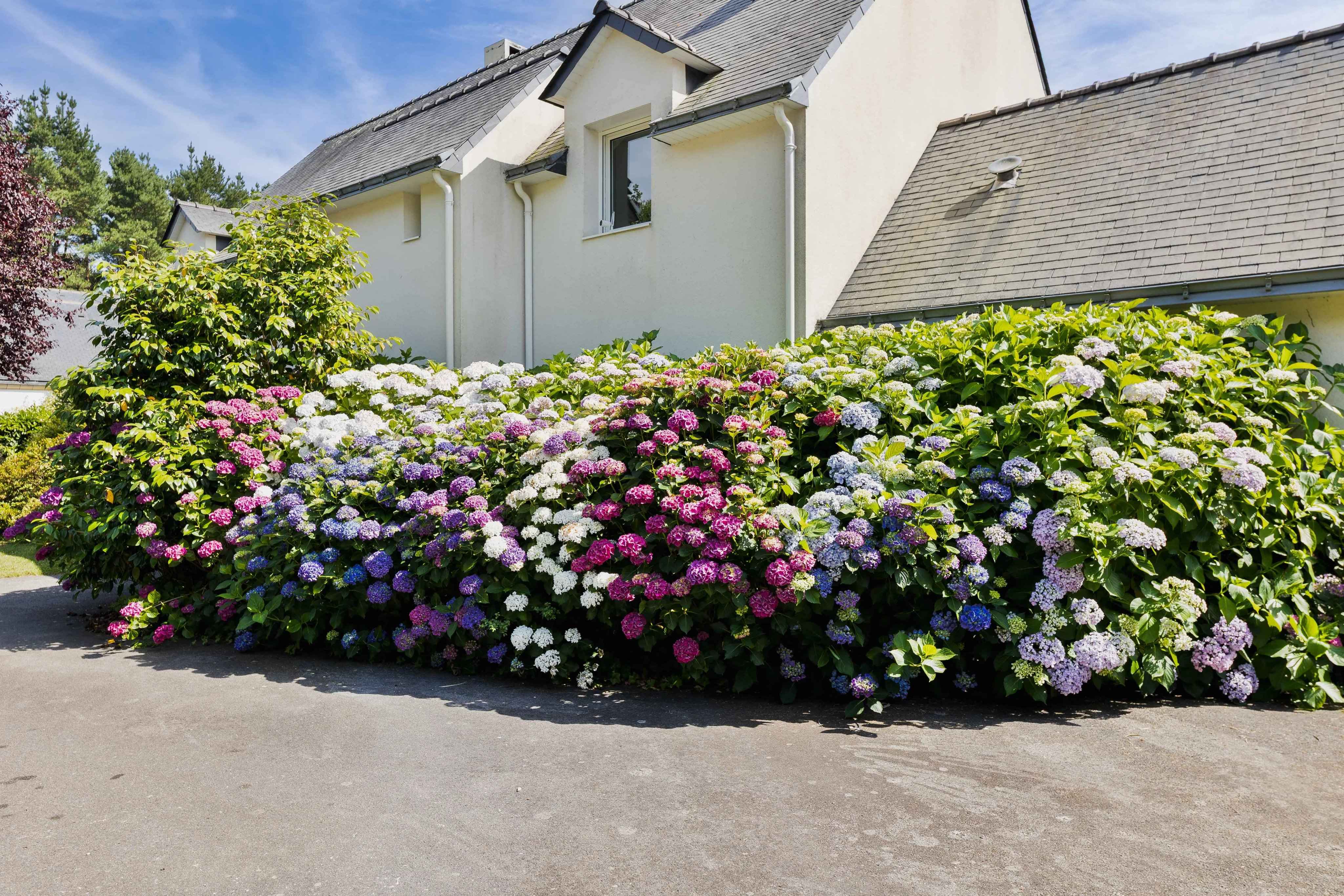 Grande maison familiale Saint André des Eaux
