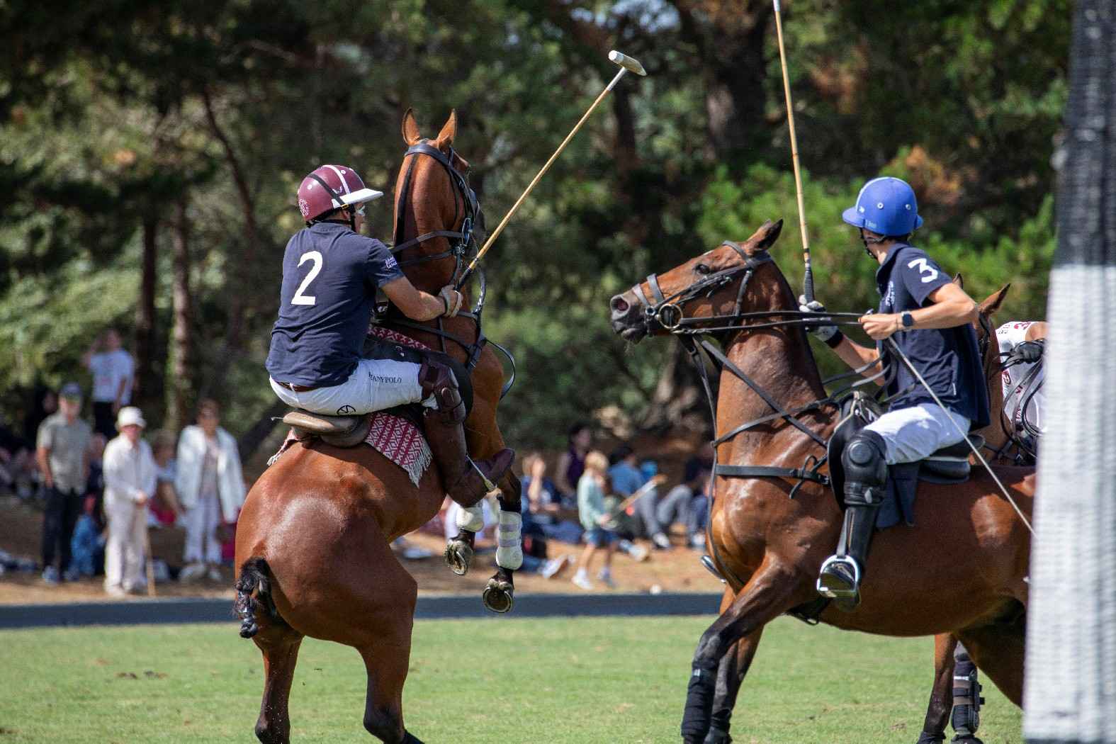 BARNES au Brittany Polo Club BARNES au Brittany Polo Club