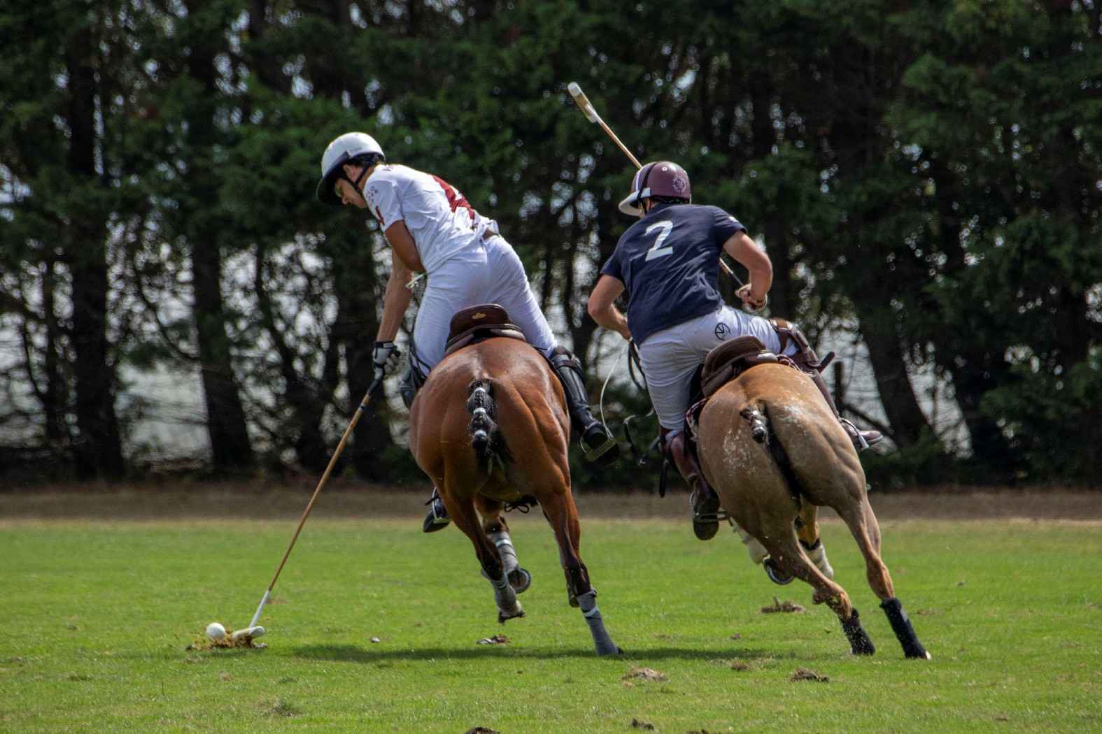 BARNES au Brittany Polo Club