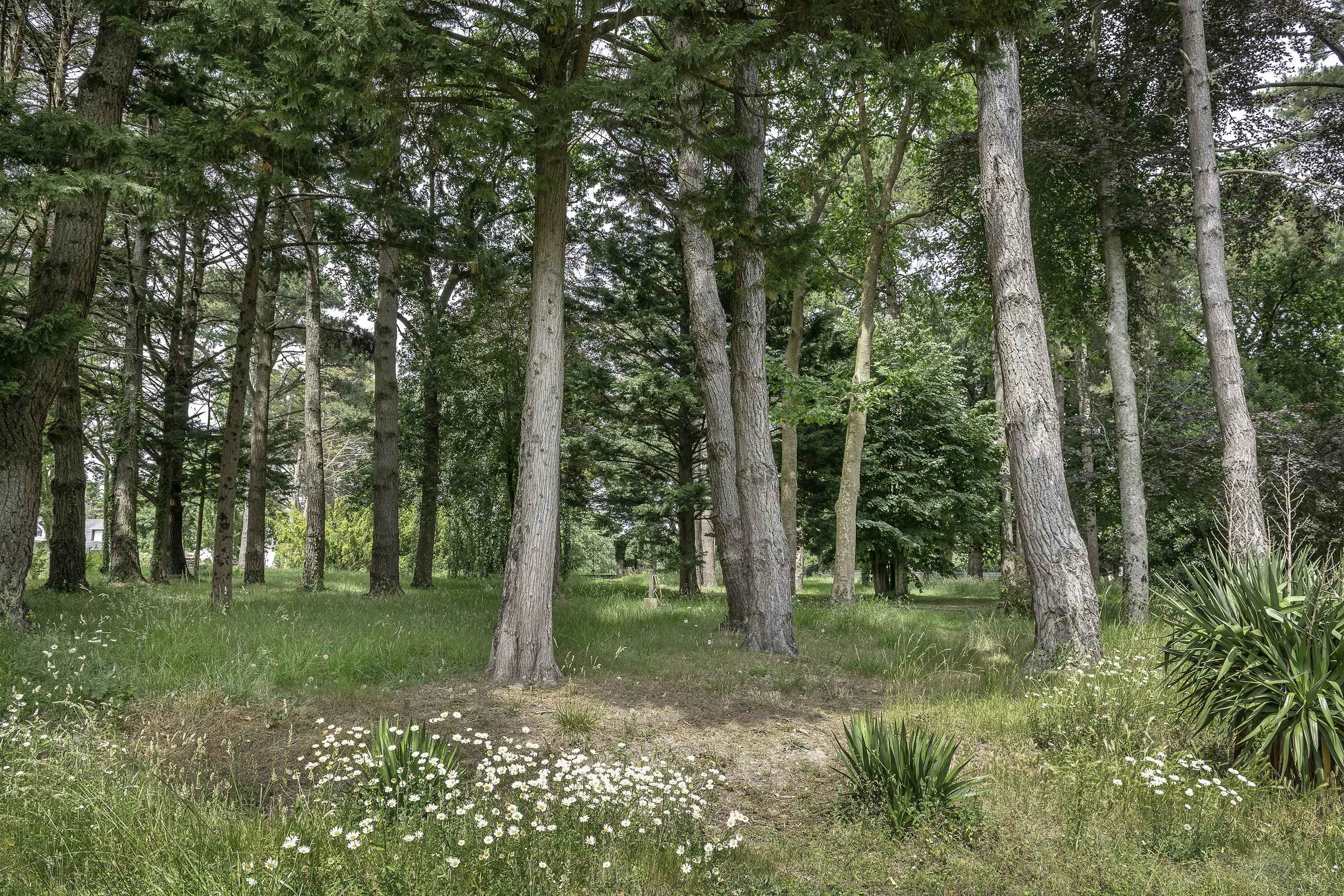 Jardin à Pénestin