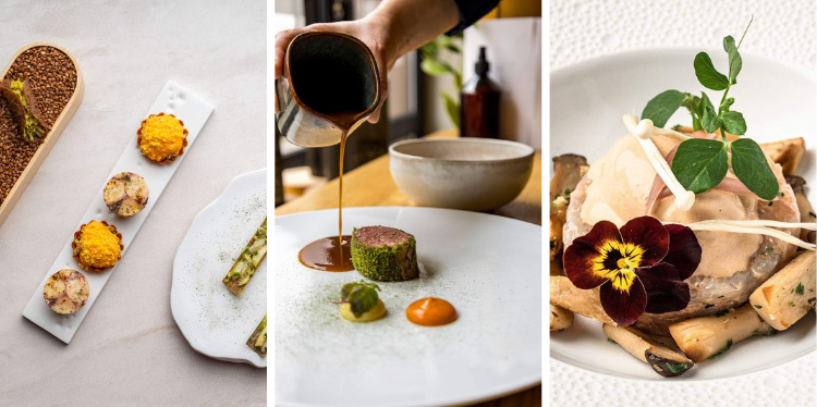 Les 9 restaurants étoilés incontournables du Morbihan 