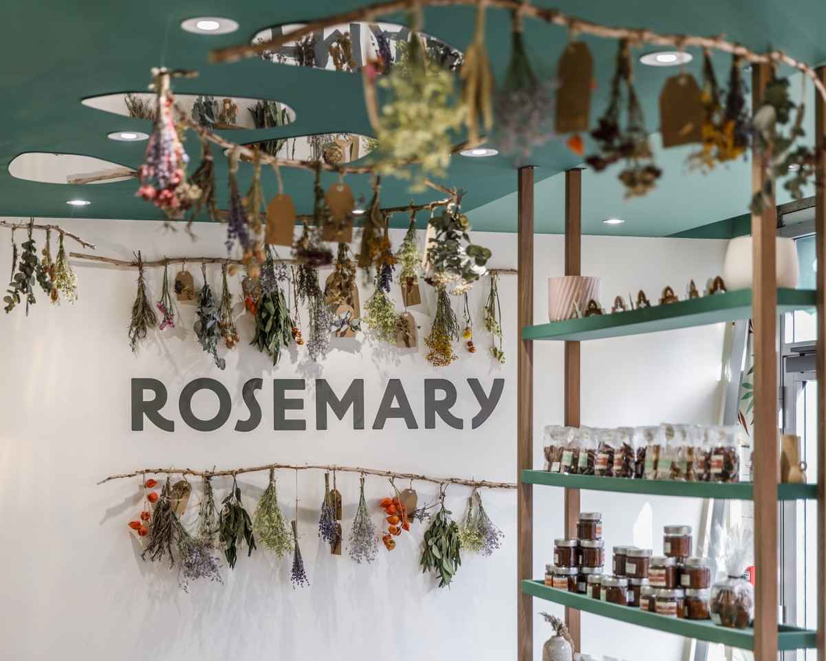 Rosemary6 - Attribut alt par défaut.