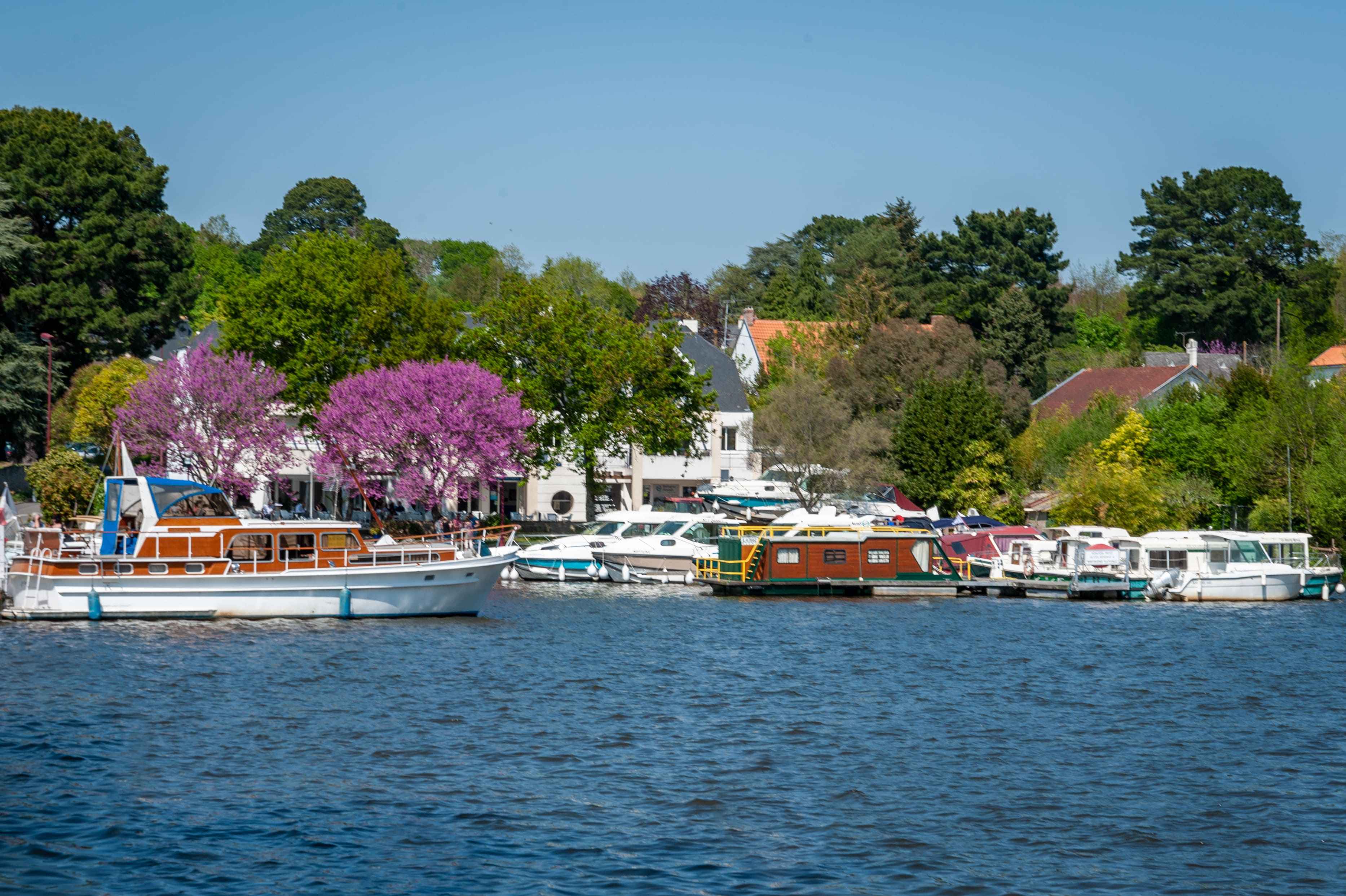 Living in Sucé-sur-Erdre