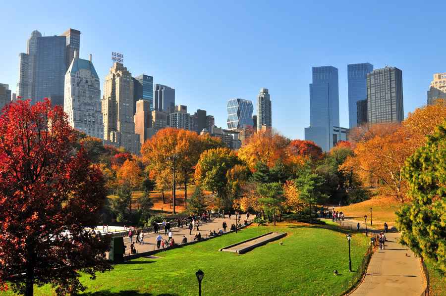 Ny - Attribut alt par défaut.